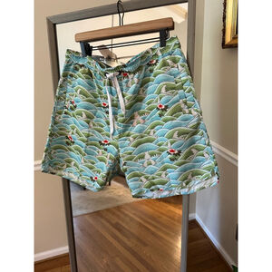 Novamen Swim Trunks Shorts Blue Green Mens